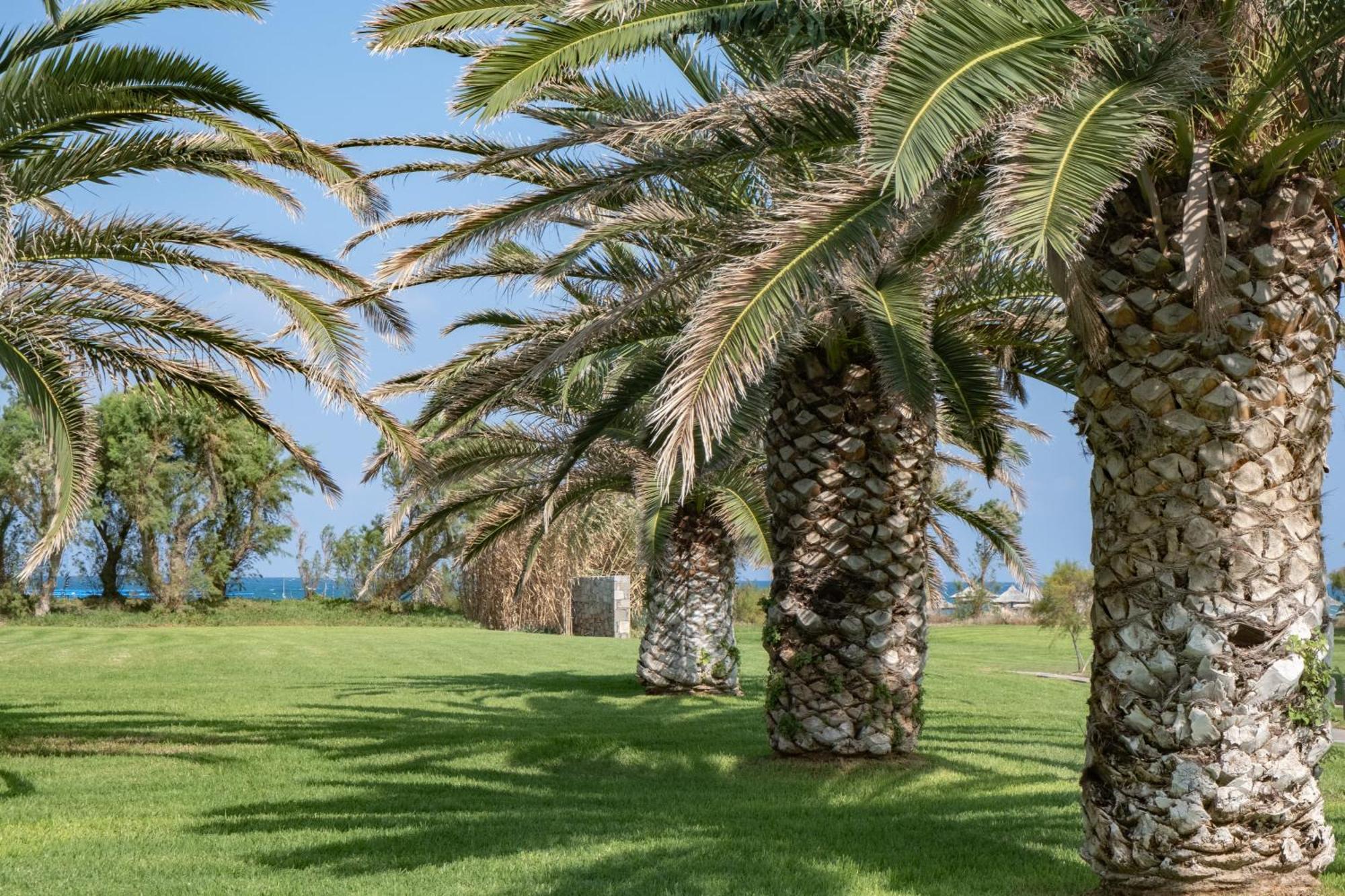 Agapi Beach Resort Premium All Inclusive Amoudara Lasithiou المظهر الخارجي الصورة